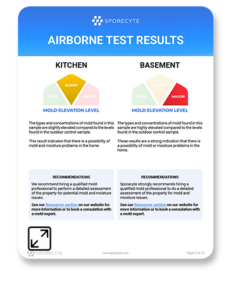 thumbnail - Sporecyte Mold & Air Quality Report - Results