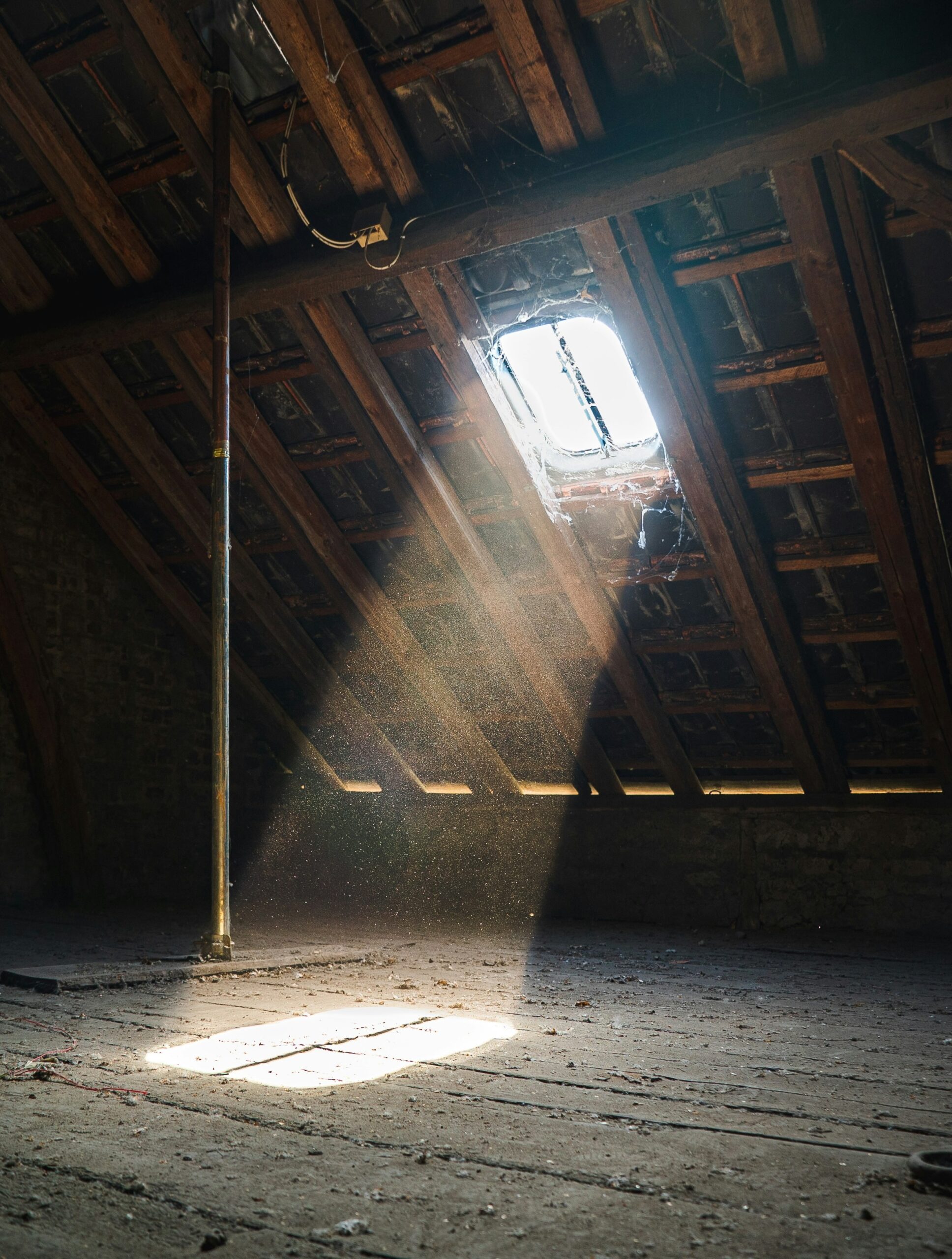mold surface samples in the attic or crawl space